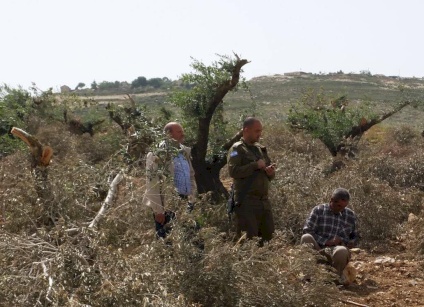 "مقاومة الجدار": الاحتلال يصدر أوامر عسكرية بإزالة الأشجار عن 69 دونما من أراضي محافظة نابلس