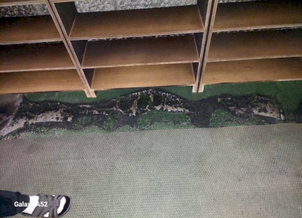 Les waqfs dénoncent la tentative des colons de brûler une mosquée à Naplouse