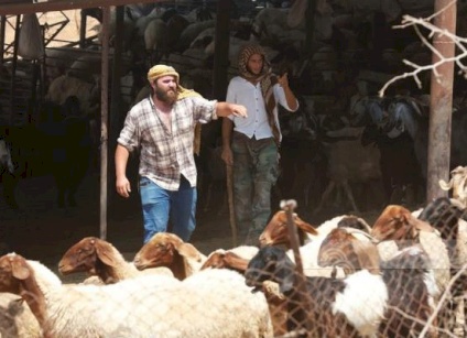 ثلاث إصابات باعتداء مستعمرين على مواطنين جنوب طوباس