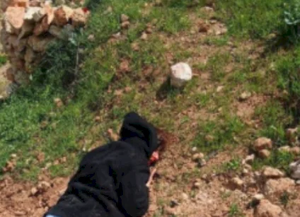 إصابة متضامنين أجنبيين في هجوم للمستعمرين على قصرة جنوب نابلس