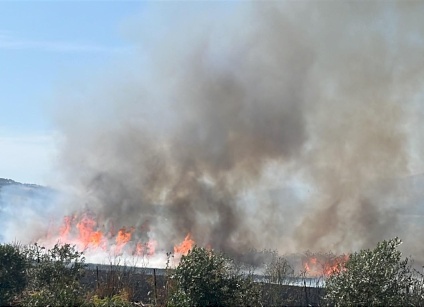 Des colons incendiant des terres agricoles au sud de Naplouse