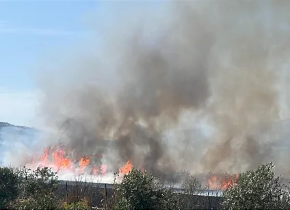 מתיישבים שורפים שטחים חקלאיים בדרום NABLUS