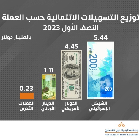 توزيع التسهيلات الائتمانية حسب العملة خلال النصف الأول من 2023