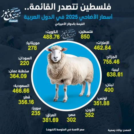 فلسطين تتصدر القائمة.. أسعار الأضاحي 2025 في الدول العربية