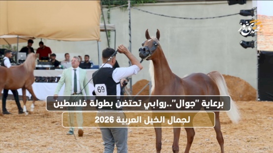 برعاية "جوال".. روابي تحتضن بطولة فلسطين لجمال الخيل العربية 2026