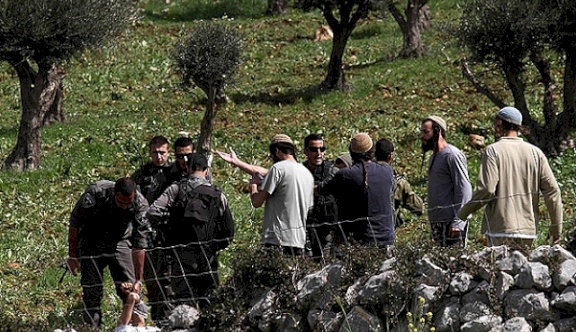 Des colonisateurs agressent des citoyens, volent leur bétail et détruisent leurs habitations à l'est de Tubas