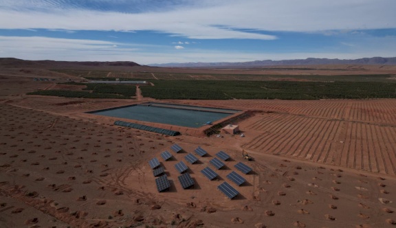 شركة النبالي والفارس تعلن إطلاق مشروعها الاستثماري الزراعي الجديد “تالا” 