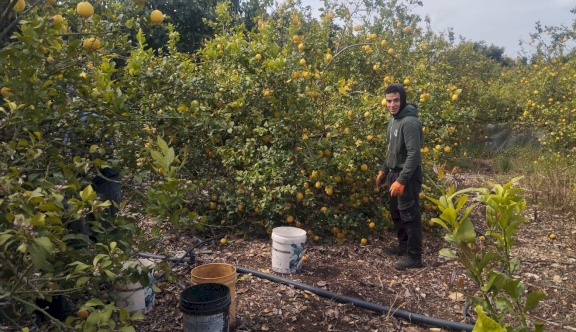 وزارة الزراعة تعلن إنجاز الاعتماد الرسمي للمنتجات الفلسطينية في السوق السعودي ويدعو المصدّرين للانطلاق نحو تصدير المنتجات الفائضة فقط