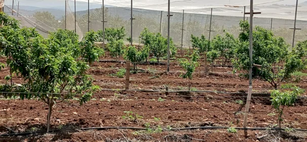 الاتحاد الأوروبي ينفذ جولة للاطلاع على مجموعة من المشاريع التي يمولها لدعم صمود المزراعين في تياسير وعاطوف  