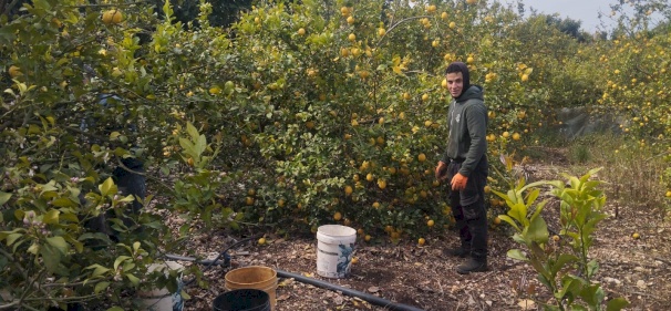 وزارة الزراعة تعلن إنجاز الاعتماد الرسمي للمنتجات الفلسطينية في السوق السعودي ويدعو المصدّرين للانطلاق نحو تصدير المنتجات الفائضة فقط