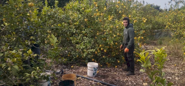 وزارة الزراعة تعلن إنجاز الاعتماد الرسمي للمنتجات الفلسطينية في السوق السعودي ويدعو المصدّرين للانطلاق نحو تصدير المنتجات الفائضة فقط