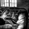 هيئة الأسرى: إدارة معتقل "ريمون" تتجاهل متابعة أوضاع المعتقلين المرضى