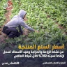 الإحصاء: ارتفاع أسعار المنتج خلال الشهر الماضي بنسبة 2.47%