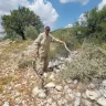 The Fatwa Council Calls for Support for Olive Farmers