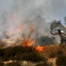 مستعمرون يحرقون أشجار زيتون ومحاصيل زراعية في قرية المغير شرق رام الله