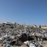 بلدية غزة تحذر من مخاطر انتشار أمراض خطيرة بفعل القوارض والحشرات الضارة