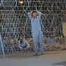 بتر أطراف وجروح تُترك لتتعفن... «الموت أفضل» لفلسطينيين من غزة في سجن إسرائيلي «مرعب»