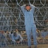 Haaretz: The Israeli Army Closed Dozens of Criminal Investigations Regarding the Circumstances of the Martyrdom of Gazans Inside Its Prisons