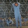 هآرتس: الجيش الإسرائيلي أغلق عشرات التحقيقات الجنائية في ظروف استشهاد غزيين داخل سجونه
