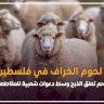أزمة لحوم الخراف في فلسطين.. الملاحم تعلق الذبح وسط دعوات شعبية للمقاطعة