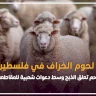 أزمة لحوم الخراف في فلسطين.. الملاحم تعلق الذبح وسط دعوات شعبية للمقاطعة