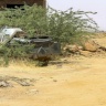 قنبلة موقوتة.. كيف يهدد كامل إدريس تحالفات الجيش السوداني؟
