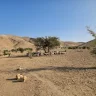 مستوطنون يهاجمون تجمع شلال العوجا ويحاصرون عائلة العمرين.