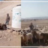 فيديو:: منظمة البيدر: مستعمرون برفقة "ماشية" يعتدون على  ممتلكات البدو "شلال العوجا" شمال أريحا