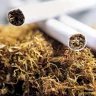 الصحة العالمية تحذر من طرق الترويج للسجائر