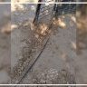 مستوطنون يقتحمون عرب المليحات ويقطعون خطوط الكهرباء الرئيسية