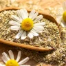 طبيب يوصي بشرب شاي البابونج قبل النوم.. لهذه الأسباب