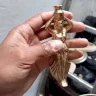 يوتيوبر مغربي يشعل الجدل بعد زعمه اكتشاف كنز
