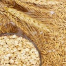 فوائد كثيرة للشوفان تضاهي أدوية إنقاص الوزن