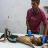 وزارة الصحة تُسجل 3 حالات وفاة بمتلازمة "غيلان باريه"