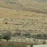 الاحتلال يبدأ بشق شارع استيطاني في حزما شمال شرق القدس