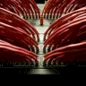 La Jordanie fournira des capacités Internet à la Syrie dans les semaines à venir
