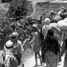 Israeli Writer: 77 Years of Expulsion, Historical Anxieties, and the Cry of Memory