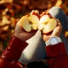 هل بذور التفاح سامة؟ إليكم 5 مخاطر صحية