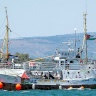 Israël expulse 137 activistes participants à la flotte de la résistance vers la Turquie