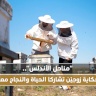 مناحل الأندلس".. حكاية زوجيّن تشاركا الحياة والنجاح معاً
