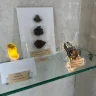 Météorite âgée de deux milliards d'années et "Aghate des Peshmerga".. Histoires géologiques uniques des pierres du musée d'Erbil