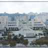 في تحول مؤسسي يعد الأول من نوعه عربياً.. جامعة النجاح الوطنية تطلق استراتيجية شاملة للتحول نحو الذكاء الاصطناعي