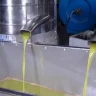 Crossings: Allowing the Entry of Olive Oil into the Hashemite Kingdom of Jordan