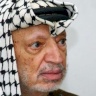 Forces de Ramallah et de Bir Zeit : L'anniversaire du départ de Yasser Arafat est une occasion d'unité et de maintien de l'attachement aux constantes nationales