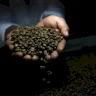 Global Coffee Prices Fall After Trump Cancels Tariffs on Brazil