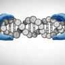 Des chercheurs : certaines cellules "zombie" pourraient contribuer à prolonger la vie