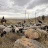 Haaretz: Israeli Regulations to Legalize Settlement 'Farms' in the West Bank
