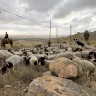 هآرتس: أنظمة إسرائيلية لشرعنة "المزارع" الاستيطانية في الضفة الغربية