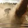 מחירי הגידולים ירדו עם הציפייה לפתיחת מיצר הורמוז