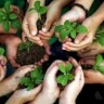 "Environmental Education" Issues Bulletin for World Day to Combat Desertification and Drought